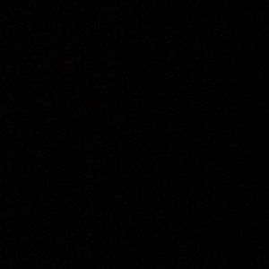 Meet your Posher, Benjamin